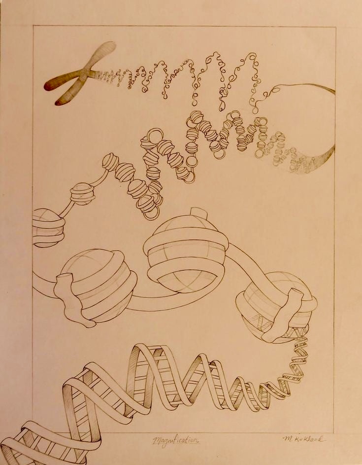 Μοριακή Βάση Νοσημάτων του Ανθρώπου